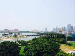 The Riverine By The Park (D12), Apartment #142713432